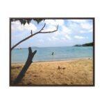 gallery canvas wraps, horizontal frame