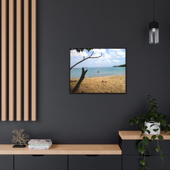 gallery canvas wraps, horizontal frame