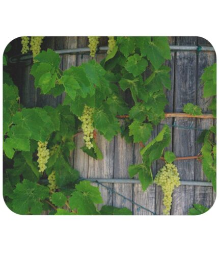 "wine barrel and grapes" mouse pad