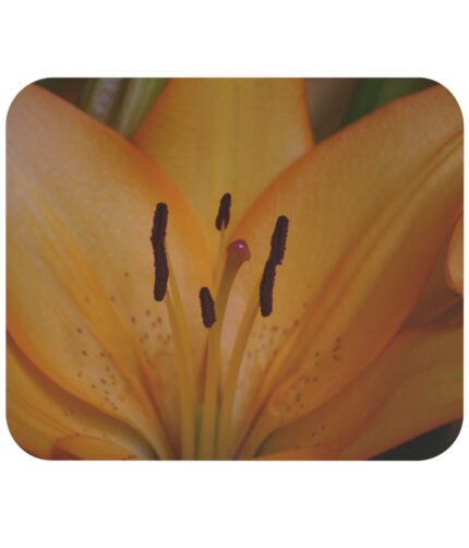 "bloom" mouse pad