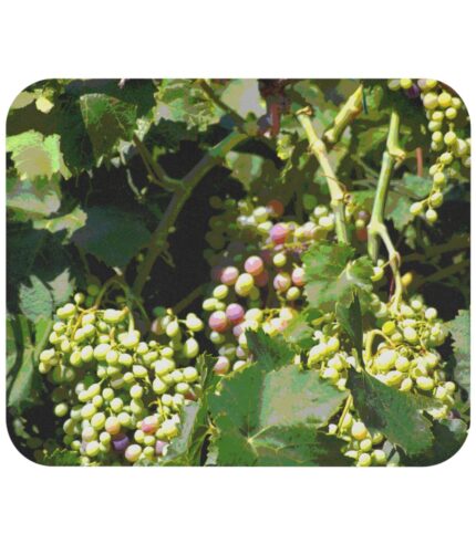 "the grapes of wine" mouse pad