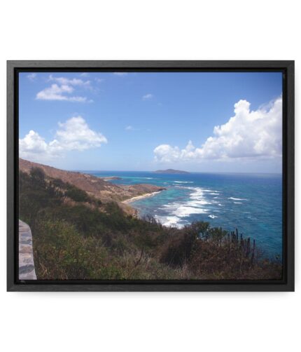 gallery canvas wraps, horizontal frame